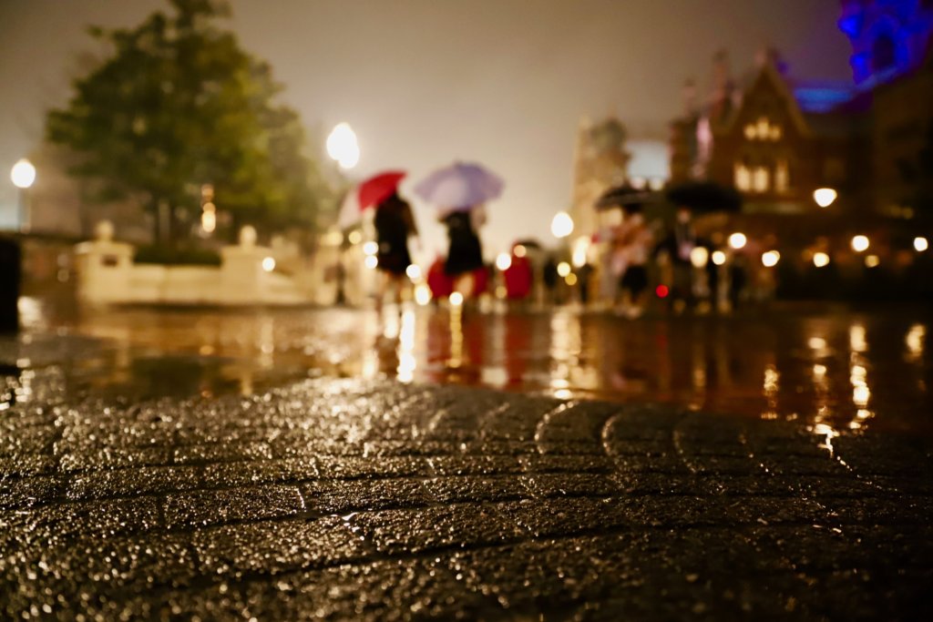 雨の東京ディズニーシーを全力で楽しむ方法 カメラlog D